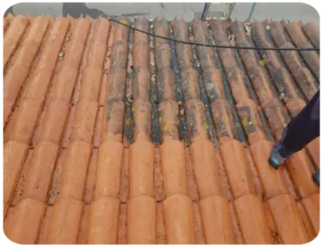 Devis Nettoyage Démoussage Toiture Eure-et-Loir